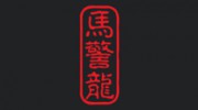 Theticket Fighters 3030