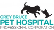 Grey Bruce Pet Hospital