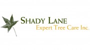Shady Lane Expert Tree Care