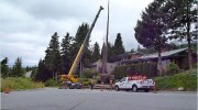 Daves Tree Care