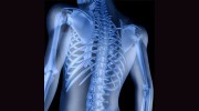 North Peace Chiropractic