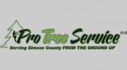 Pro Tree Service
