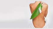 Chiropractic Care