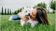Walden Animal Hospital