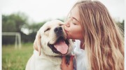 Front Street Animal Hospital
