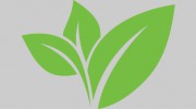 Wilson Tree Service