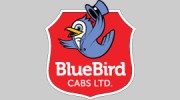 Blue Bird Cabs