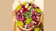 Daisy A Day Florist