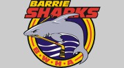 Barrie Women's Hockey Association