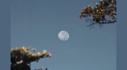 Okanagan-Similkameen Community Acupuncture