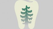 Dental