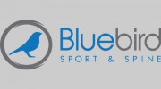 Bluebird Sport & Spine