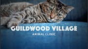 Guildwood Village Animal Clinic