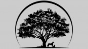 Forest Veterinary Clinic
