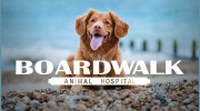 Boardwalk Animal Hospital