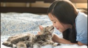 Wellesley Animal Hospital