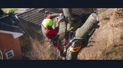 Country Tree Service