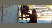Pro-Cut Concrete Cutting