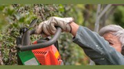 Garden City Tree Service