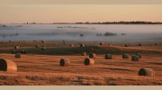 Lakeland Agricultural Research