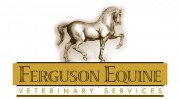 Ferguson Equine Veterinary Service