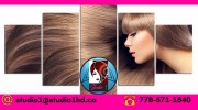 Studio 1 Hair Design