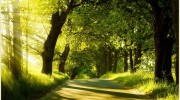 Central Counselling