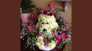 Nancy's Flower Patch