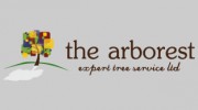 Expert Tree Services