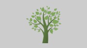 Whisperin Jake's Tree & Yard Service
