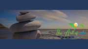 The Art Of Harmony Acupuncture