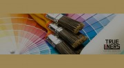 Trueliners Painting Services