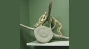 Lee Chiropractic Clinic