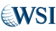 WSI Estrategies