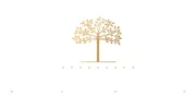 Donnelly Advisors Group
