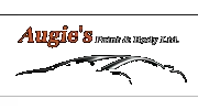 Augies Paint Body