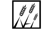 New Harvest Media