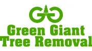 Green Giant Tree Removal