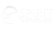Spirit Taekwondo