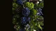 Campbell River Florist
