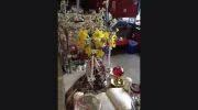 Anar Food & Gro