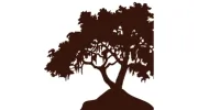 Parkstone Dental
