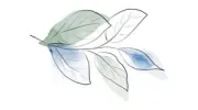 Revive Counselling