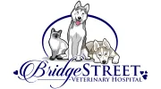 Bridge Street Veterinary Hospital