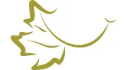 Maple Grove Dental