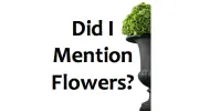 Did I Mention Flowers