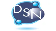 DSN Accounting Service