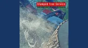 Stumped Tree Service