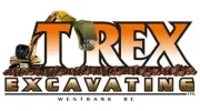 T-Rex Excavating