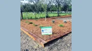 Rapid Lawn Landscape Solutions